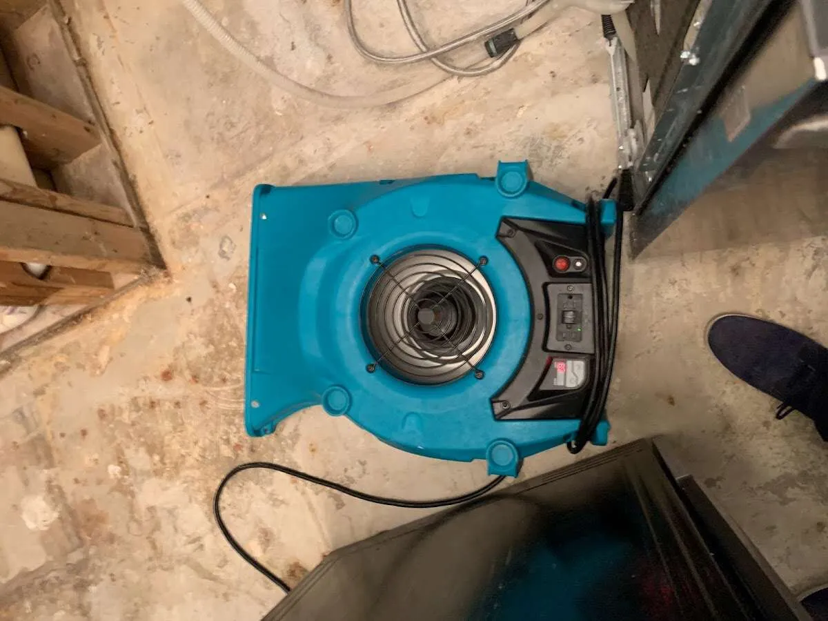 Air mover drying equipment for Mold Remediation & Removal in West Springfield Town